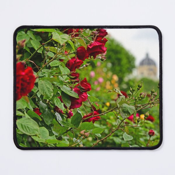 Item preview, Volksgarten red roses garden in Vienna, springtime nature background, Austria designed and sold by goceris.