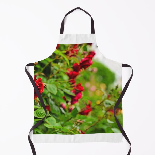 Item preview, Volksgarten red roses garden in Vienna, spring season nature background, Austria designed and sold by goceris.