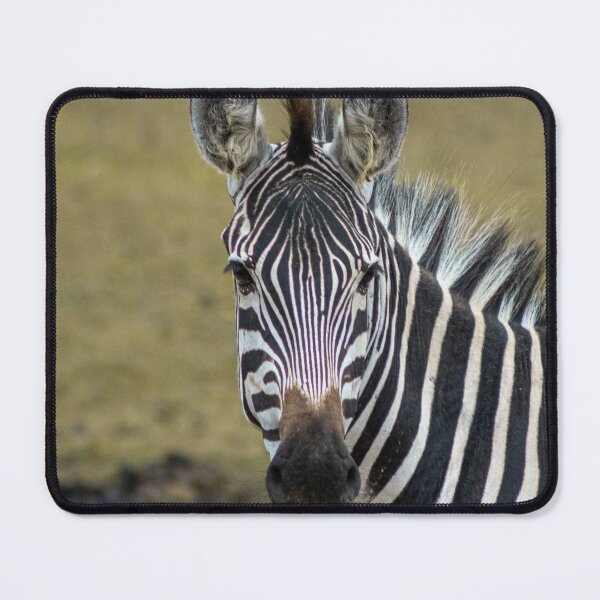 Item preview, Inquisitive Stripes designed and sold by brynmelys.