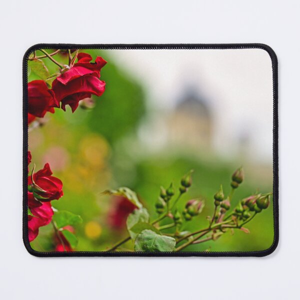 Item preview, Volksgarten red roses garden in Vienna, spring season background, Austria designed and sold by goceris.
