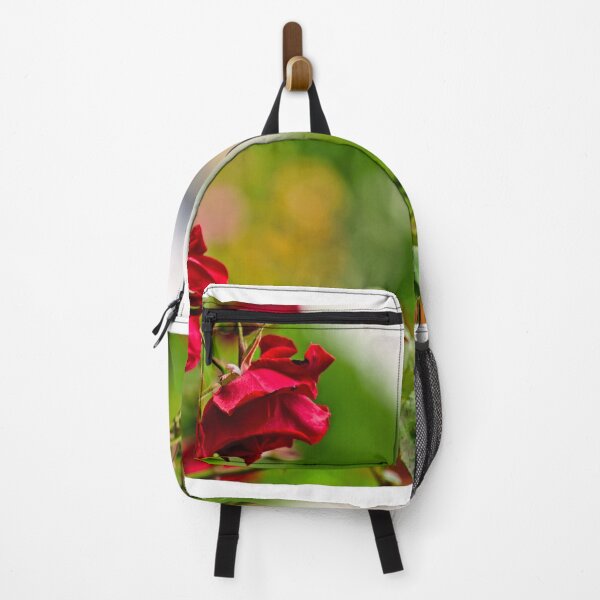 Item preview, Volksgarten red roses garden in Vienna, spring season background, Austria designed and sold by goceris.