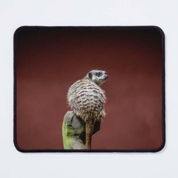 Item preview, Meerkat Mischief designed and sold by brynmelys.