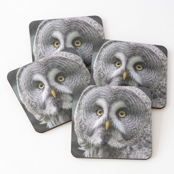 Item preview, Old Wise Owl designed and sold by brynmelys.