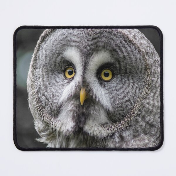 Item preview, Old Wise Owl designed and sold by brynmelys.