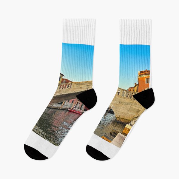 Item preview, Stone bridge Ponte di Vigo across Vena water canal in historical centre of Chioggia town, Veneto Region, Italy designed and sold by goceris.