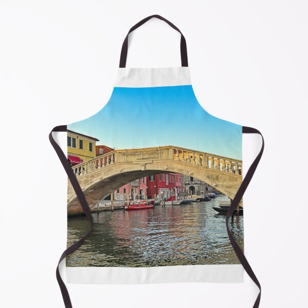Item preview, Stone bridge Ponte di Vigo across Vena water canal in historical centre of Chioggia town, Veneto Region, Italy designed and sold by goceris.
