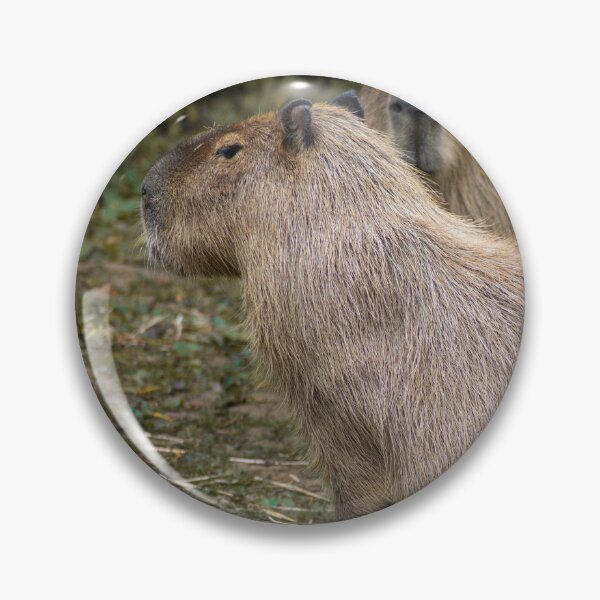 Artikelvorschau, Capybara entworfen und verkauft von brynmelys.