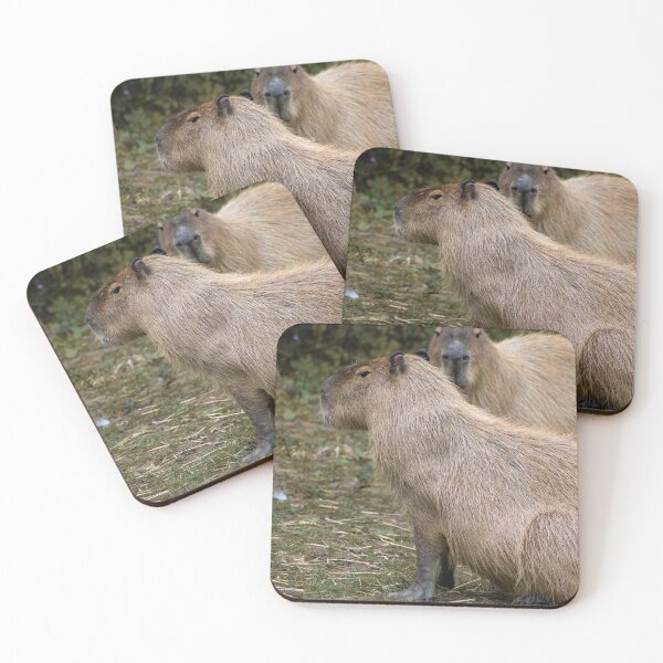 Artikelvorschau, Capybara entworfen und verkauft von brynmelys.