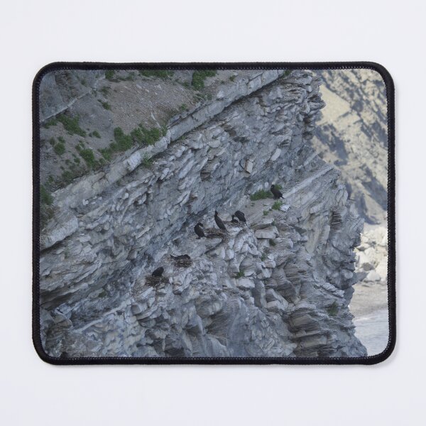 Item preview, Cormorant Nesting designed and sold by Sometimes-store.