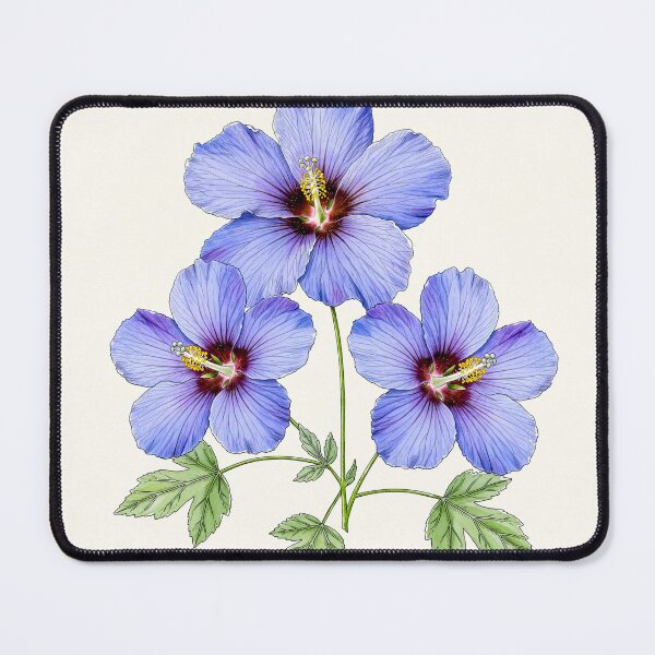 Item preview, A Hibiscus syriacus 'Blue Bird' Art Series #6 designed and sold by Helios Be. Lavsh.