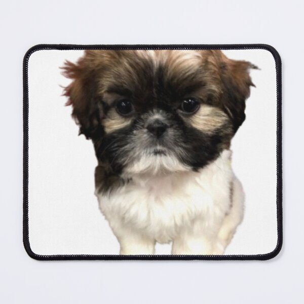 Item preview, Shih tzu puppy designed and sold by Lily-and-Winnie.