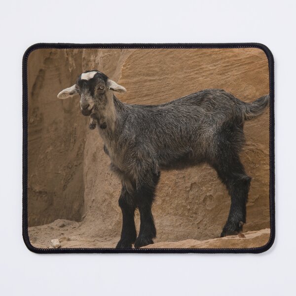 Item preview, The Goat of Jordan designed and sold by NancyKHajjar.