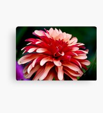 Entangled Canvas Print