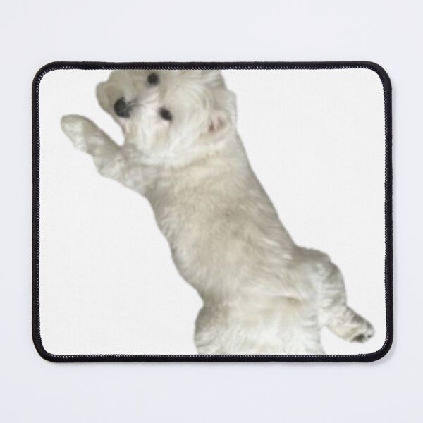 Item preview, Westie Sploot | West Highland Terrier | dog | Doggy | Sploot designed and sold by Lily-and-Winnie.