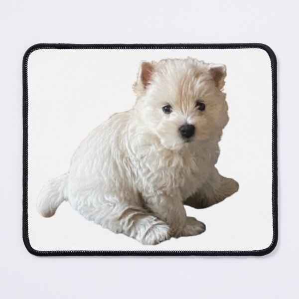 Item preview, Cute dog | cute Westie | West Highland Terrier | Westie designed and sold by Lily-and-Winnie.