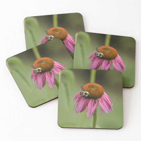 Item preview, Echinacea Flower with Bumblebee Macro designed and sold by TathataPhotos.