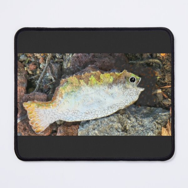 Item preview, Fish Leaf designed and sold by DancingCreek.