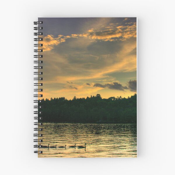 Item preview, Geese with Boats, Newfound Lake Hebron, NH designed and sold by Wayne King.