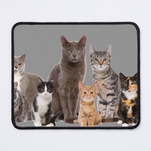 Item preview, Jade's Cat Tee, FROM TV Series Inspired, Cool Cats designed and sold by JDVNart.