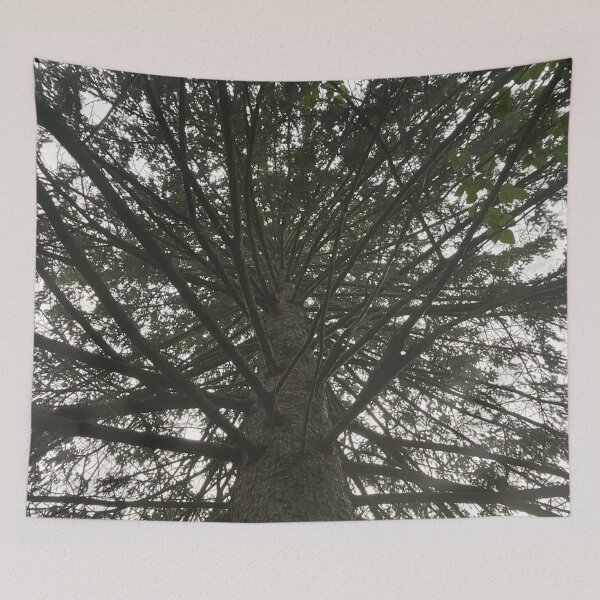 Item preview, Branches designed and sold by Abeink1030.