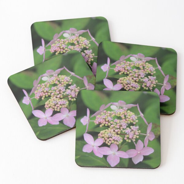 Item preview, Soft light purple hydrangea - Soft nature photography designed and sold by Cha-s-lens.