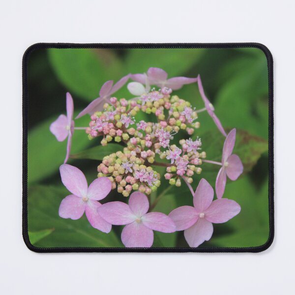 Item preview, Soft light purple hydrangea - Soft nature photography designed and sold by Cha-s-lens.