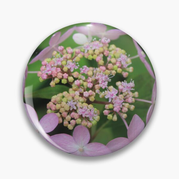 Item preview, Soft light purple hydrangea - Soft nature photography designed and sold by Cha-s-lens.