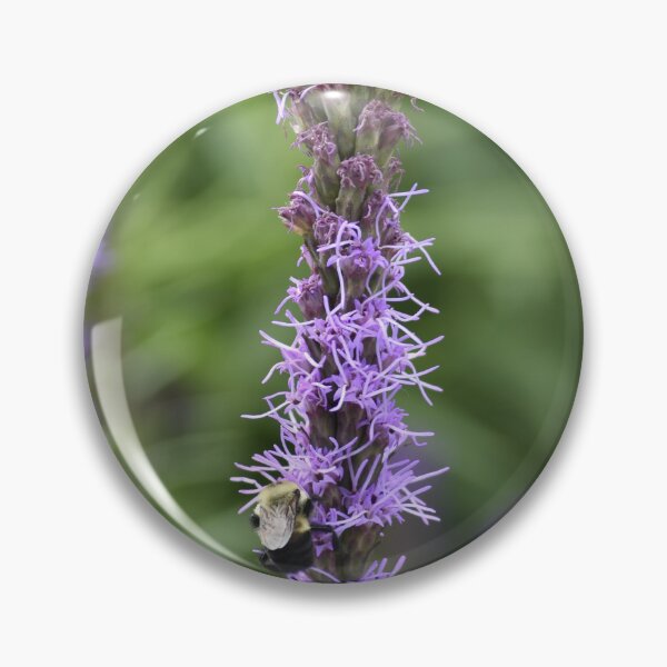 Item preview, Purple Liatris Spike with Bumblebee designed and sold by Tathata Macro Flowers.