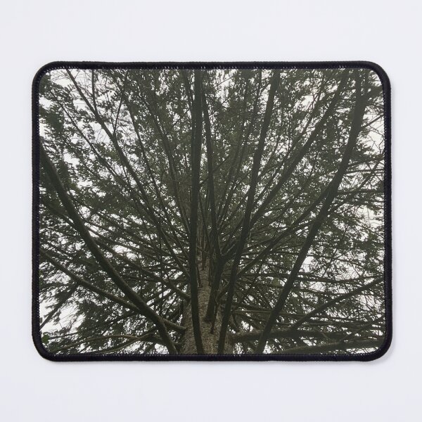 Item preview, Branches 3  designed and sold by Abeink1030.