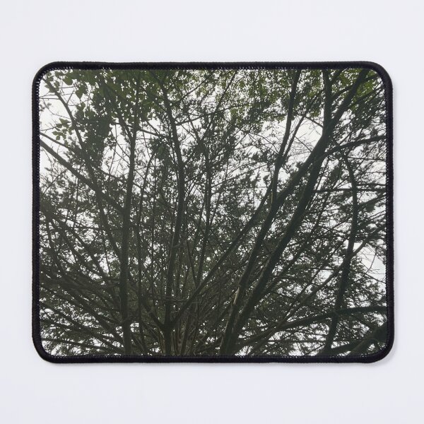 Item preview, Branches 5 designed and sold by Abeink1030.