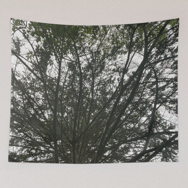 Item preview, Branches 5 designed and sold by Abeink1030.