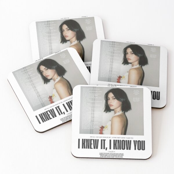 Item preview, Gracie I Knew It I Know You Fan Art Poster – The Secret Of Us Lyric Print designed and sold by gringoods.
