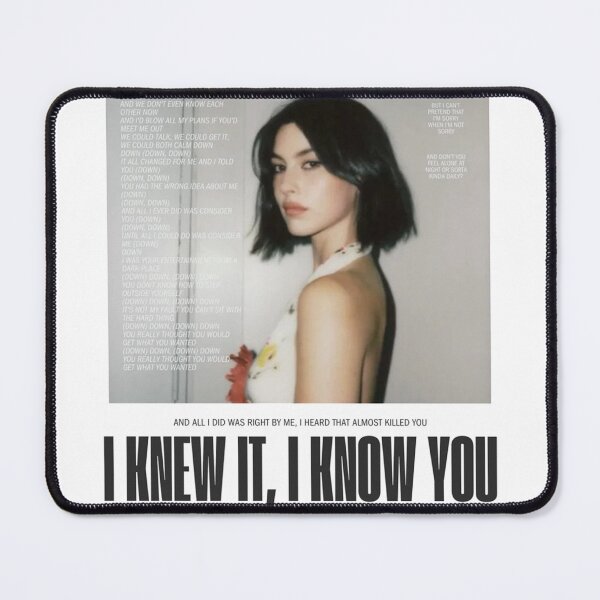 Item preview, Gracie I Knew It I Know You Fan Art Poster – The Secret Of Us Lyric Print designed and sold by gringoods.