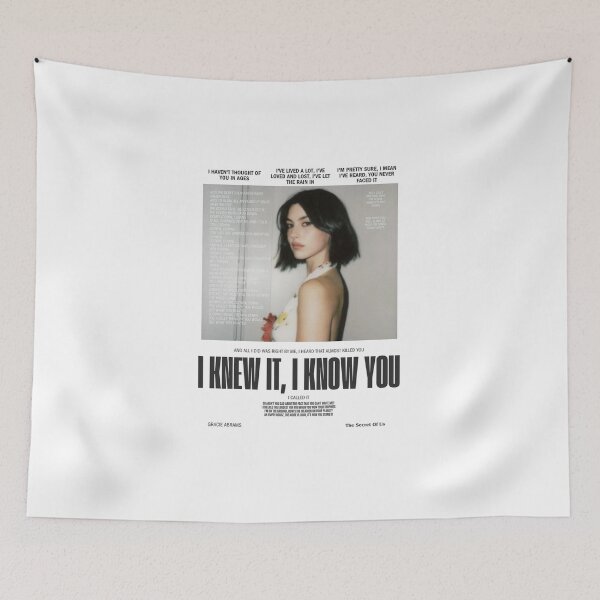 Item preview, Gracie I Knew It I Know You Fan Art Poster – The Secret Of Us Lyric Print designed and sold by gringoods.