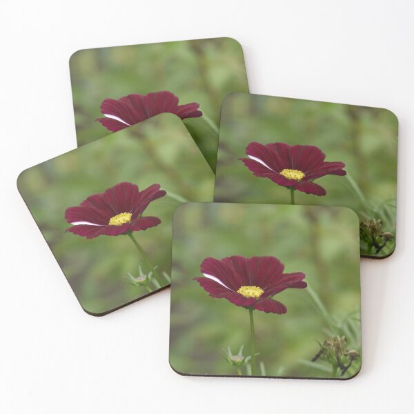 Item preview, Deep Red Cosmos Flower Macro designed and sold by Tathata Macro Flowers.