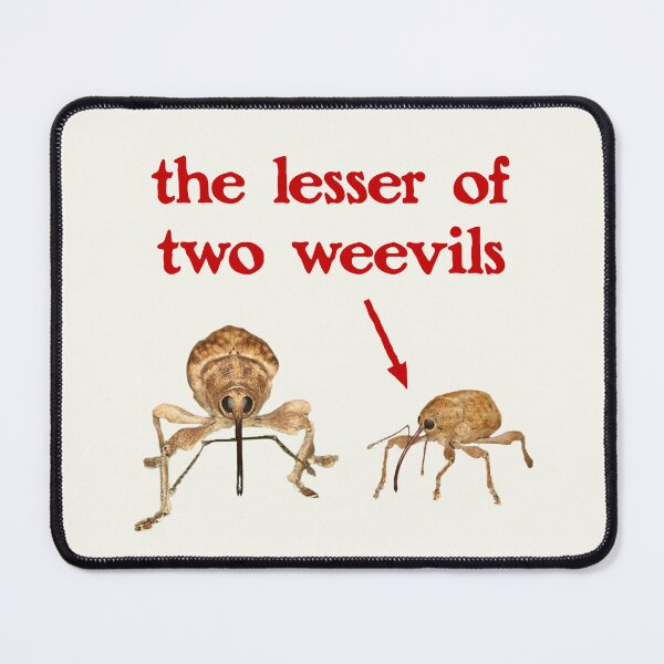 Item preview, the lesser of two weevils - dad joke pun designed and sold by snazzyseagull.
