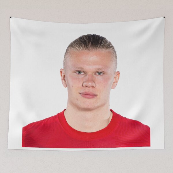 Item preview, Erling Haaland designed and sold by Dlorelegend27.
