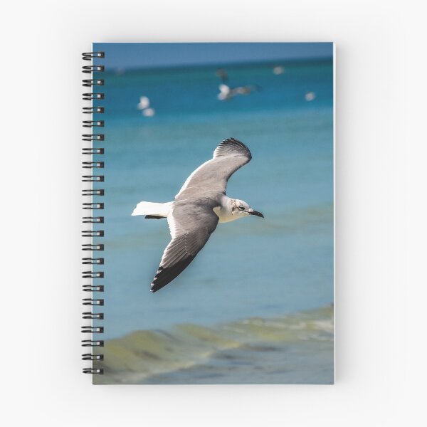 Item preview, Seagull in Flight Over Ocean designed and sold by Craig Bernstein.