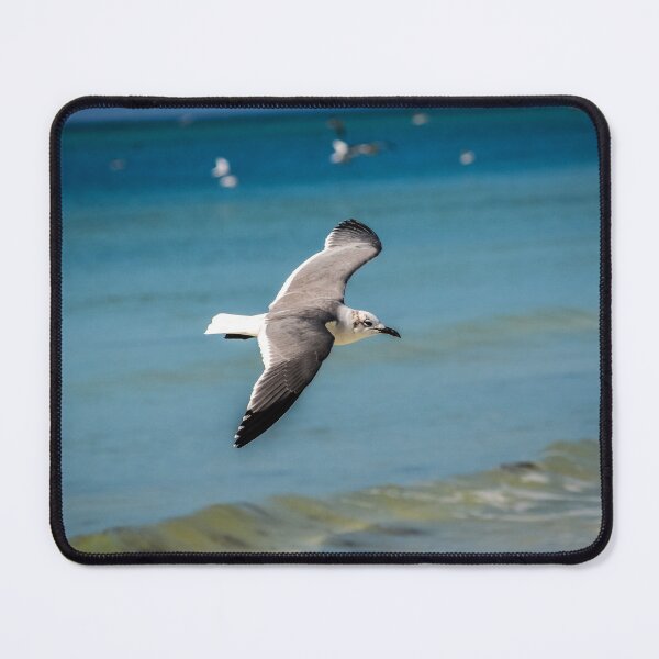 Item preview, Seagull in Flight Over Ocean designed and sold by Craig Bernstein.