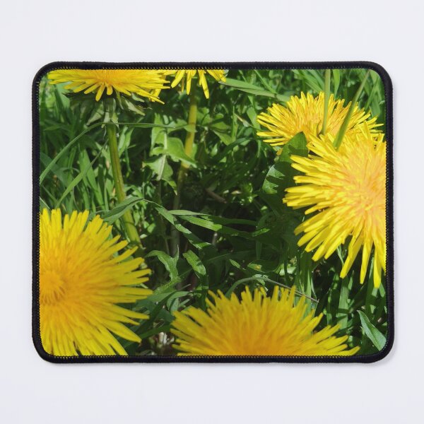 Item preview, dandelions designed and sold by Elektra9.