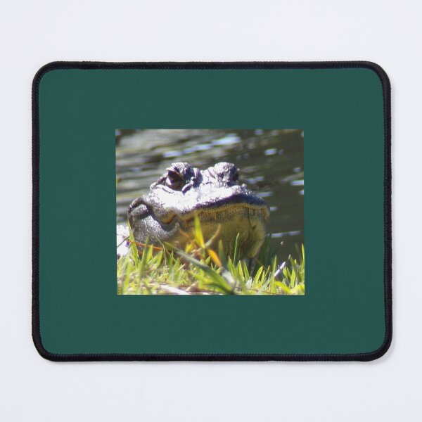 Item preview, Alligator Smile designed and sold by SquaresArt.