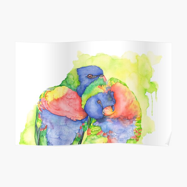 Rainbow Lorikeets Poster