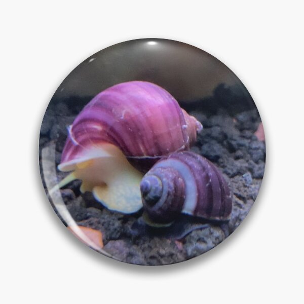 Item preview, Mystery snail designed and sold by Courtney Croxall.