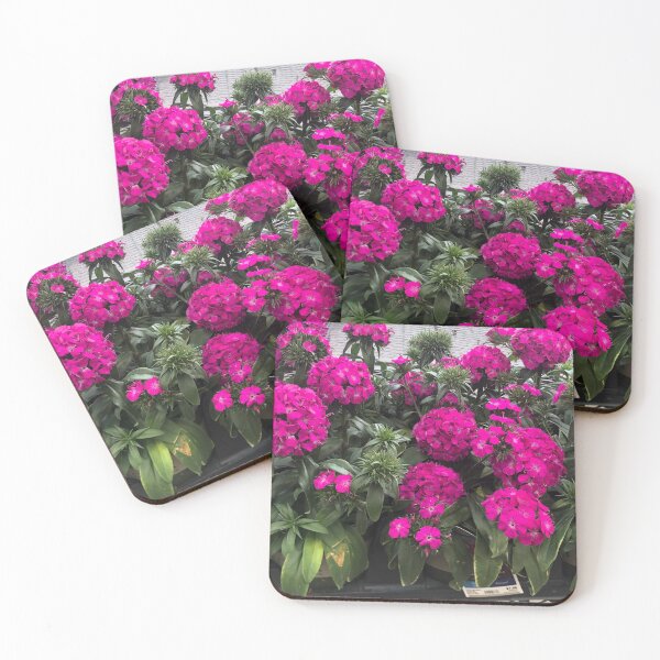 Item preview, Quiet Bloom - Vibrant Pink Phlox Cluster designed and sold by QuietBloomDHS.
