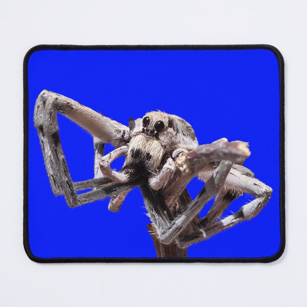 Item preview, Wolf spider designed and sold by Creative Endeavors ..