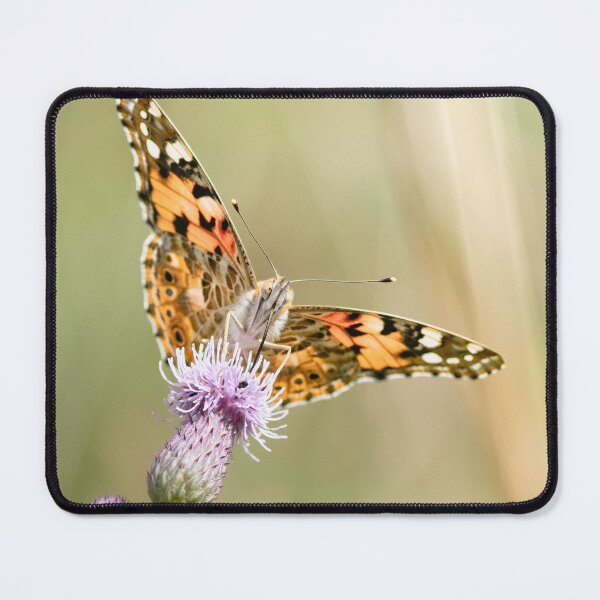 Artikelvorschau, Painted Lady Butterfly on Thistle | Macro Nature Photography entworfen und verkauft von little_macro_love.