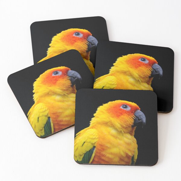 Item preview, Golden Orange Macaw Parrot on Black Background designed and sold by Amitphotos.