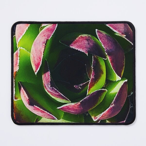 Item preview, Succulent designed and sold by MelsArtVentures.