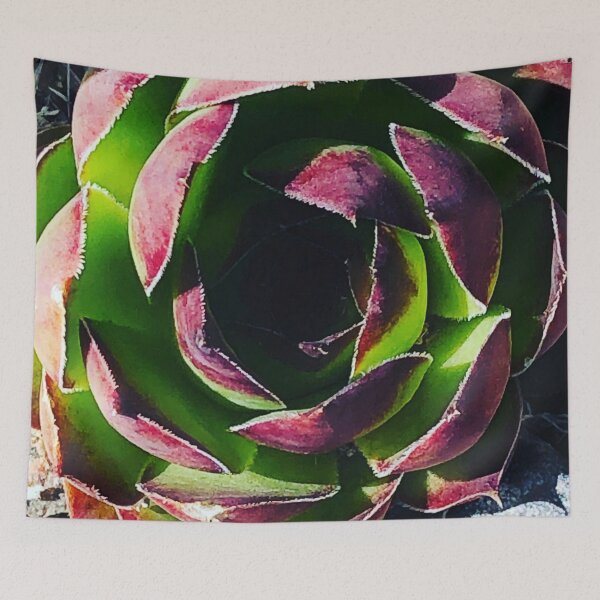 Item preview, Succulent  designed and sold by MelsArtVentures.