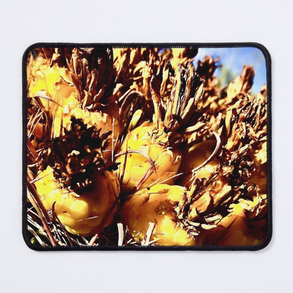 Item preview, Prickly Pear designed and sold by MelsArtVentures.
